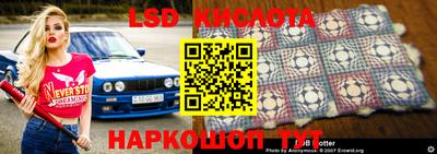 стаф Боровичи