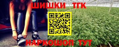 стаф Боровичи