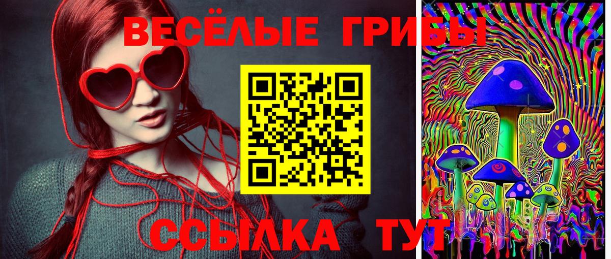 Псилоцибиновые грибы Cubensis  Вход с VPN  Кохма 